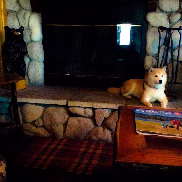 萨拉赫单骑难救主!法国战车全面压制几内亚,非洲冠军离世界顶级还有多远?